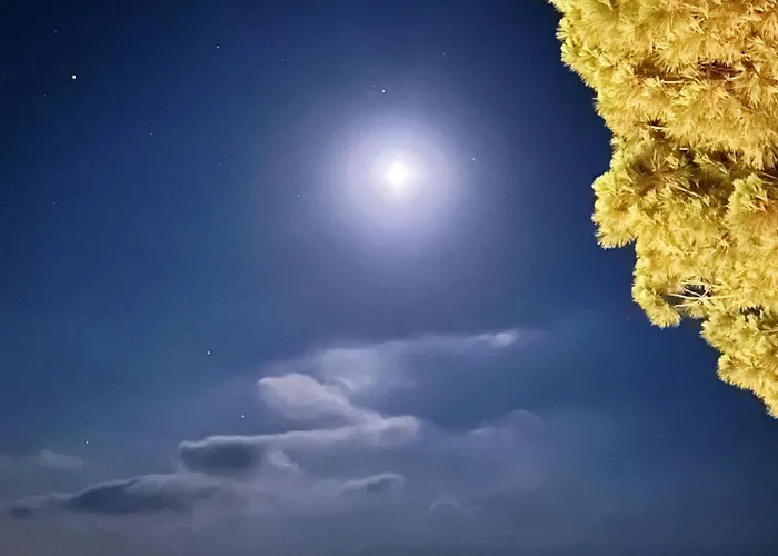 Boutique Franca - Per Coppie Con Servizio Incluso ! Capo Vaticano